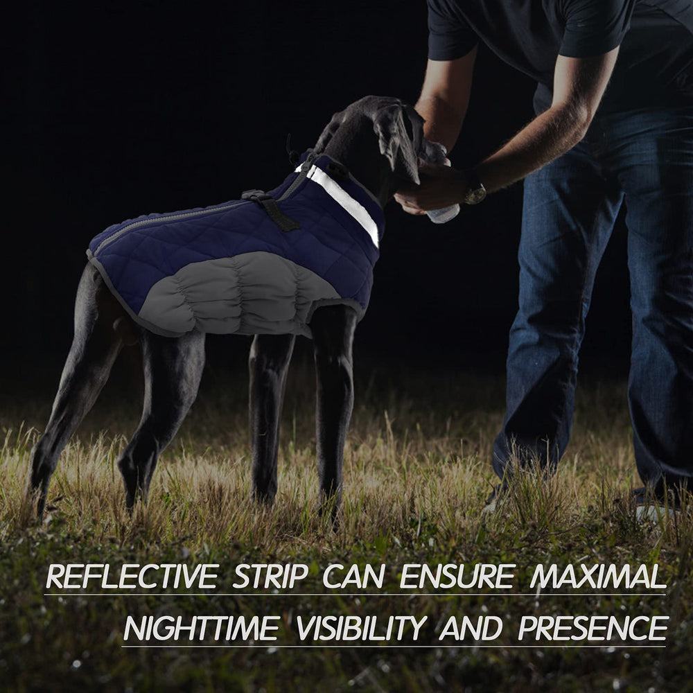 FUAMEY Dog Coat snow-resistant fabric keeps pets dry in light snow
