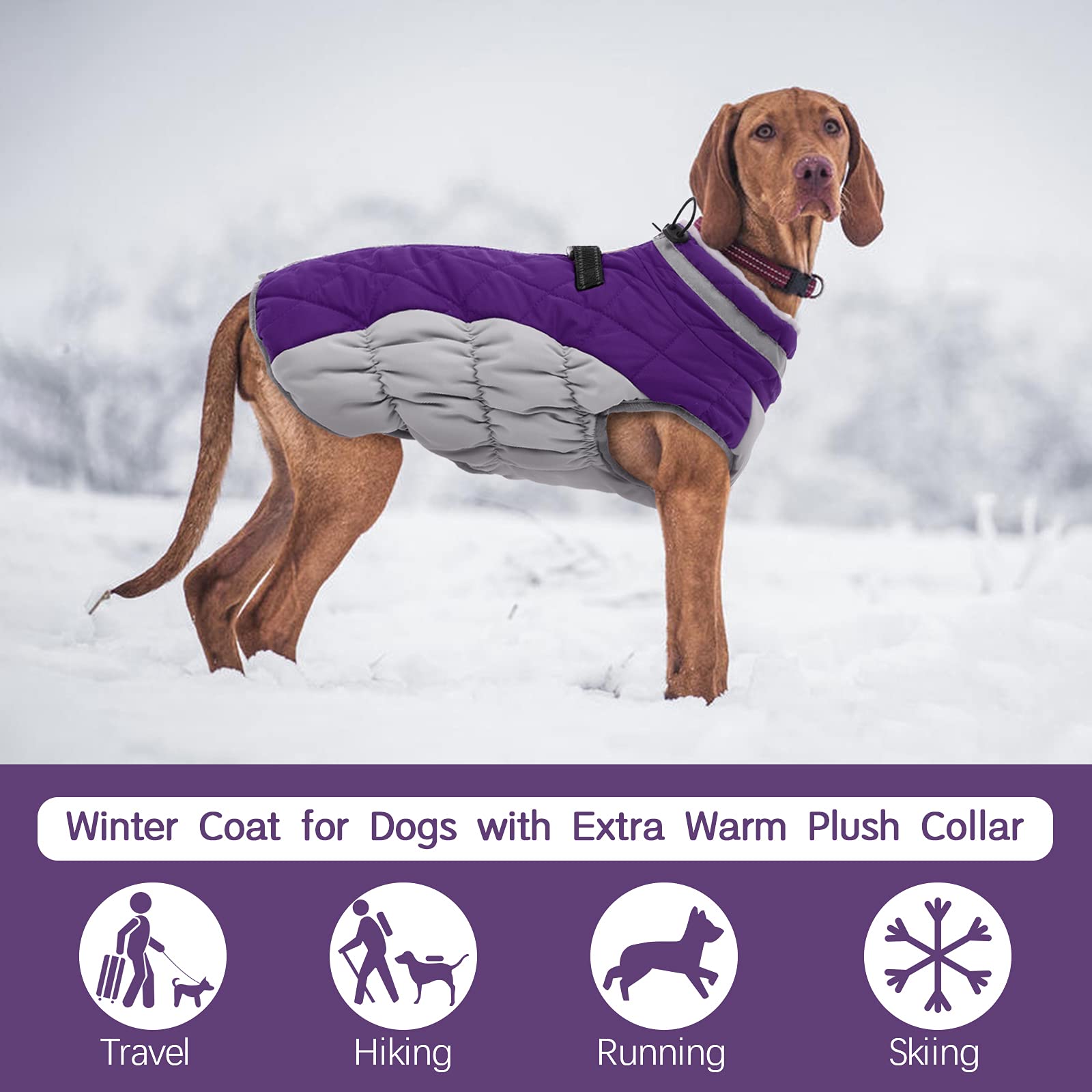 FUAMEY dog coat with soft fleece lining delivers comfortable warmth on chilly days