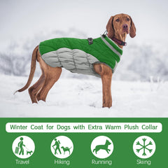 FUAMEY dog coat thick collar detail emphasizes neck protection from wind.