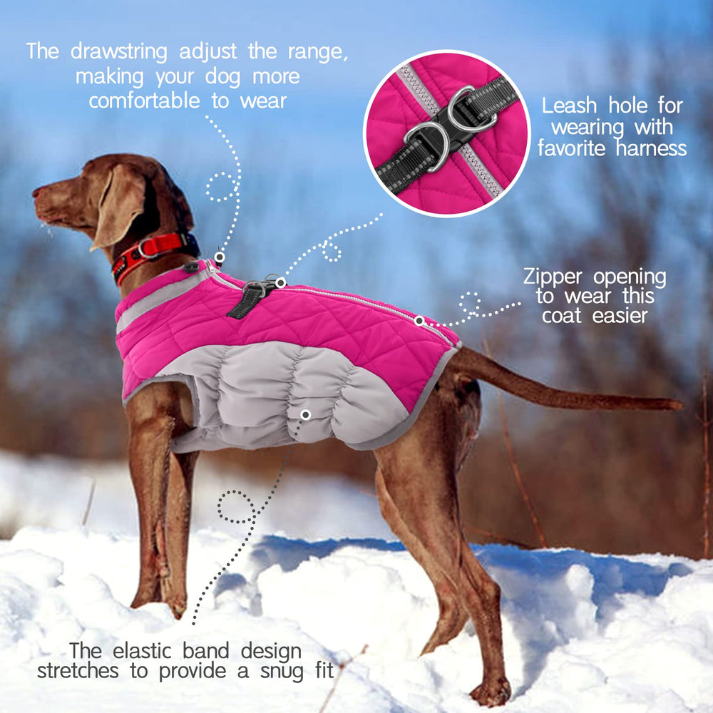 FUAMEY dog coat with reflective strip enhances nighttime visibility for safer strolls.
