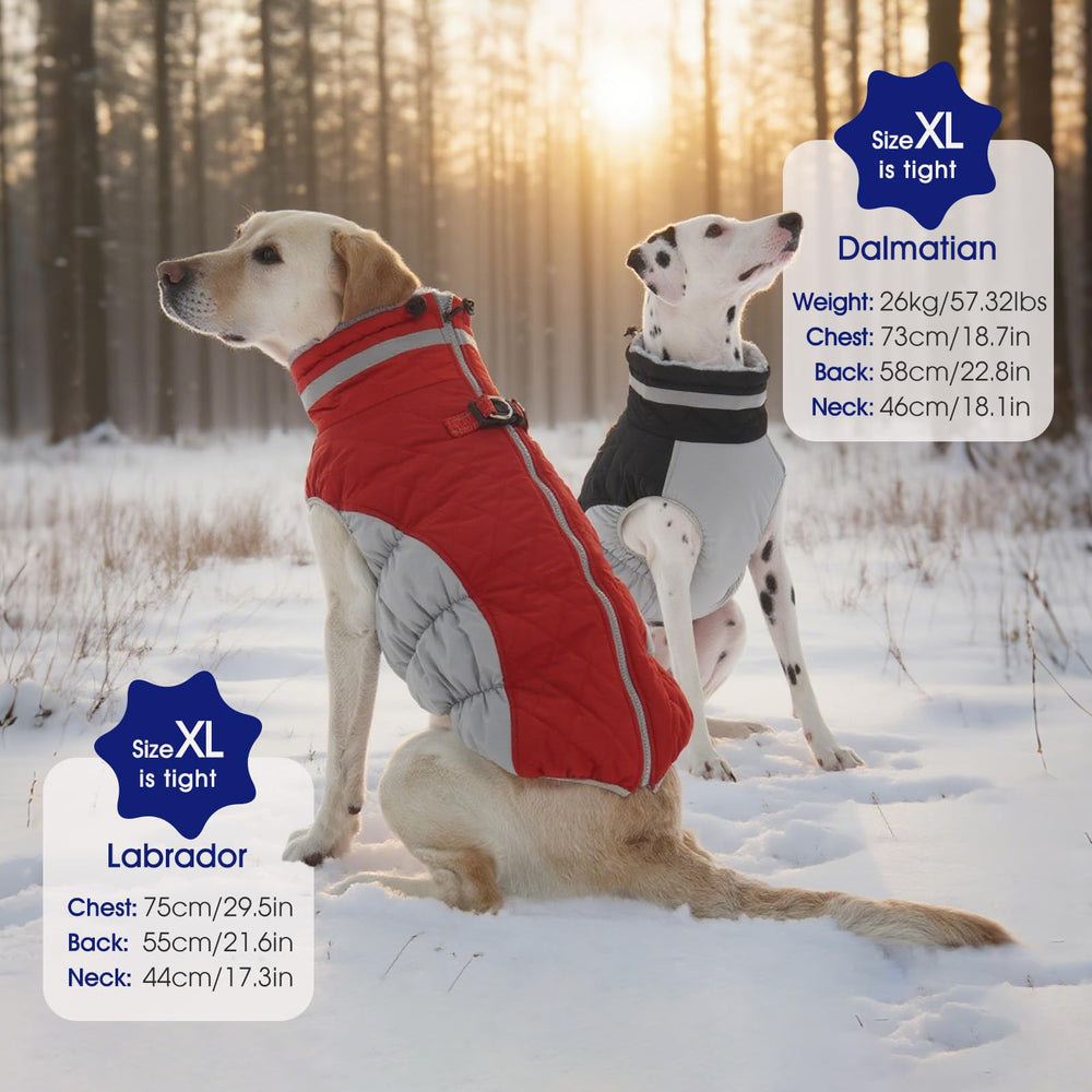 FUAMEY dog coat windproof soft-shell for windy days and breezy adventures