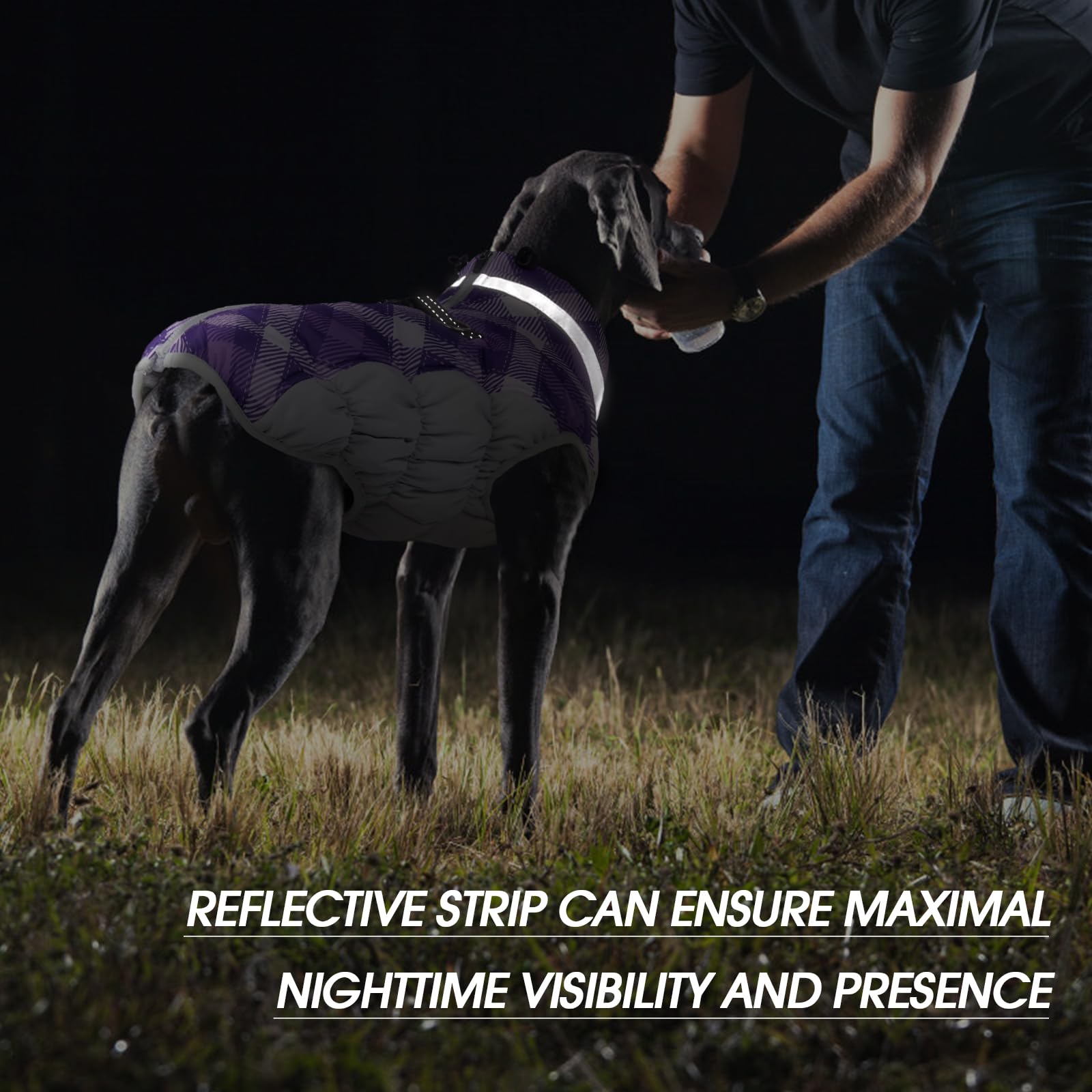 FUAMEY coat back-zip design enables easy dressing for dogs.