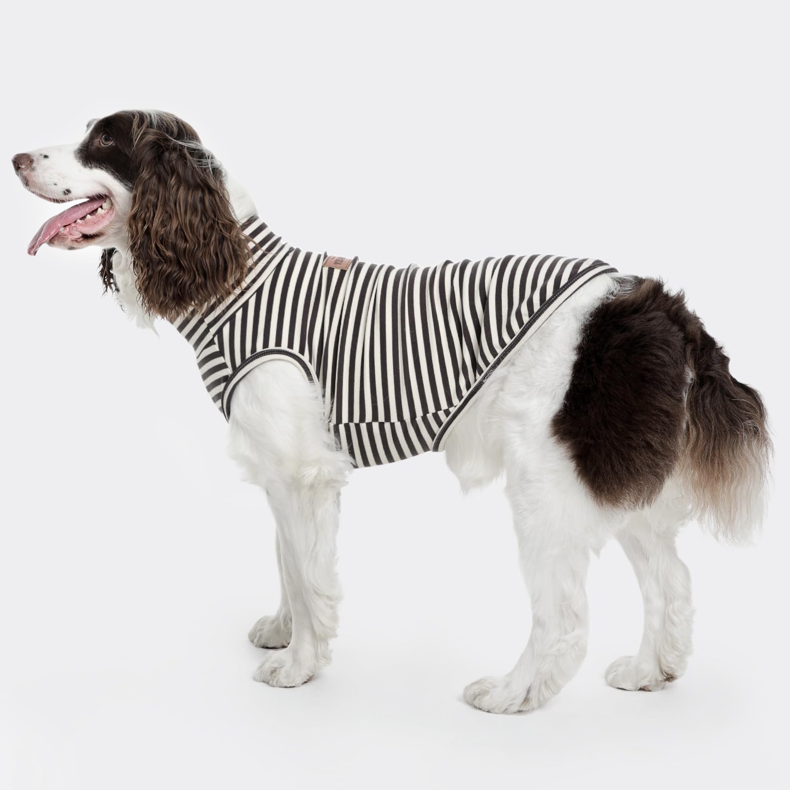 FUAMEY dog fleece vest on small dog demonstrates versatile daily wear
