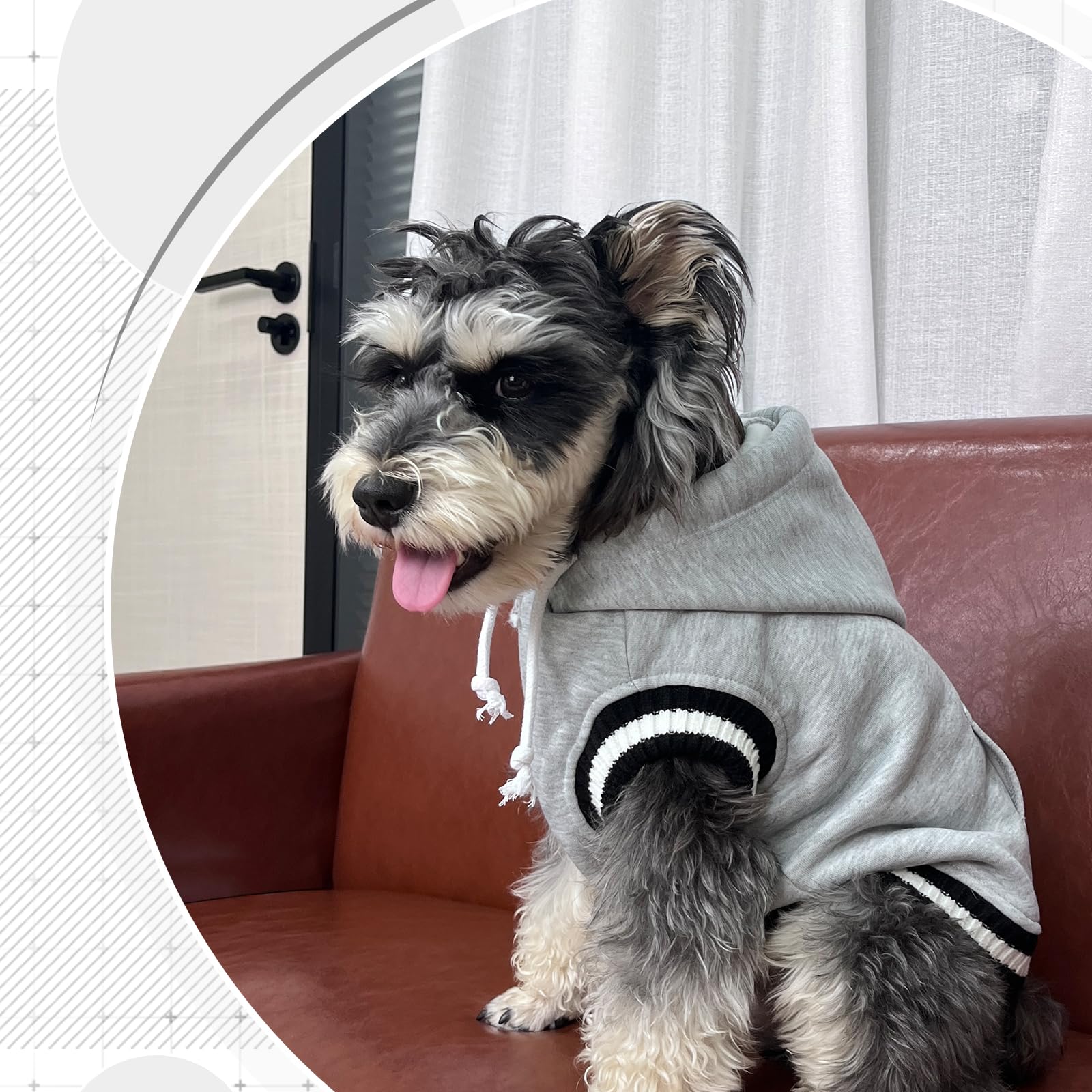 FUAMEY worn-on-dog walking shot emphasizes cozy warmth during outdoor strolls