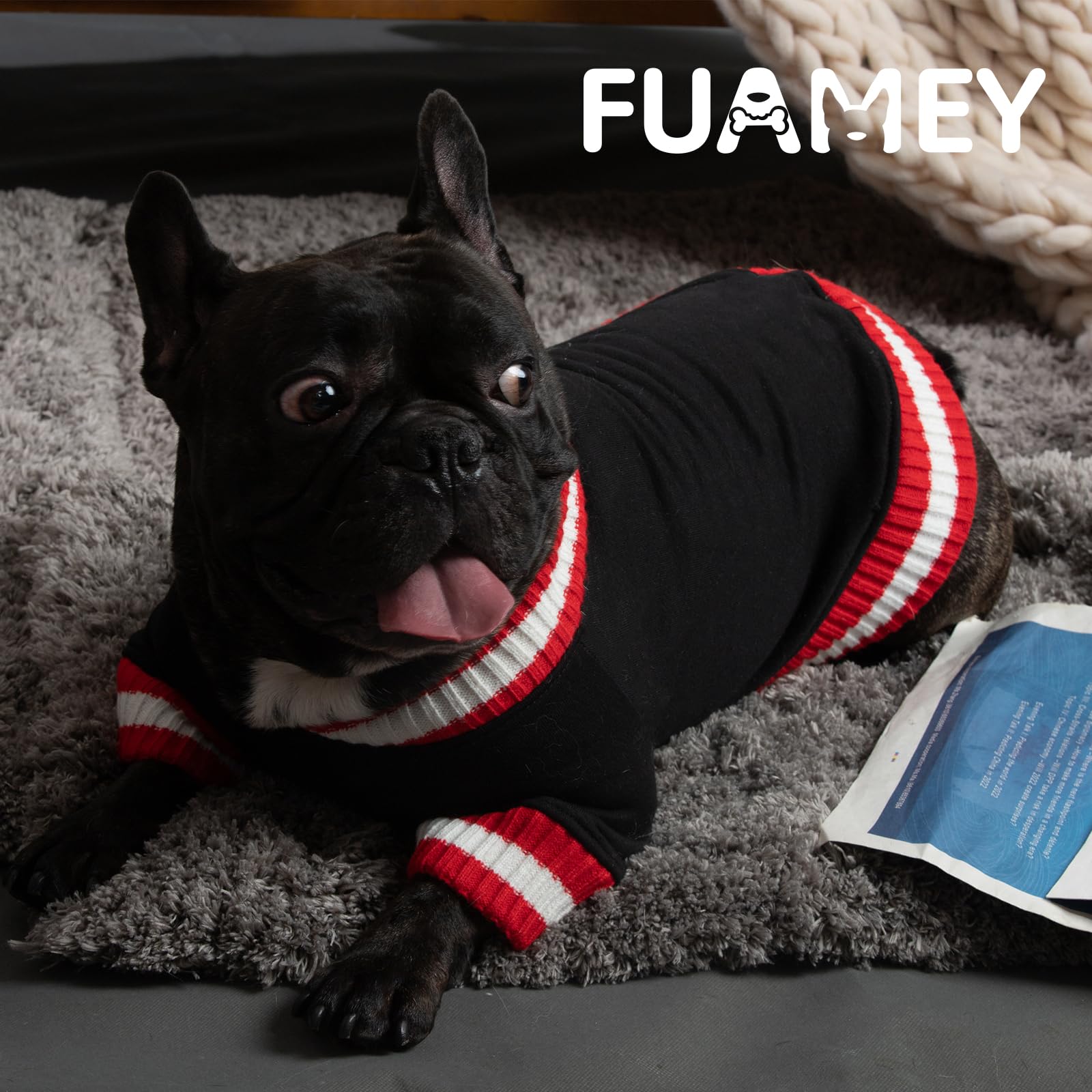 FUAMEY dog pullover sweatshirt lavender-on-dog, versatile wear for chilly seasons.
