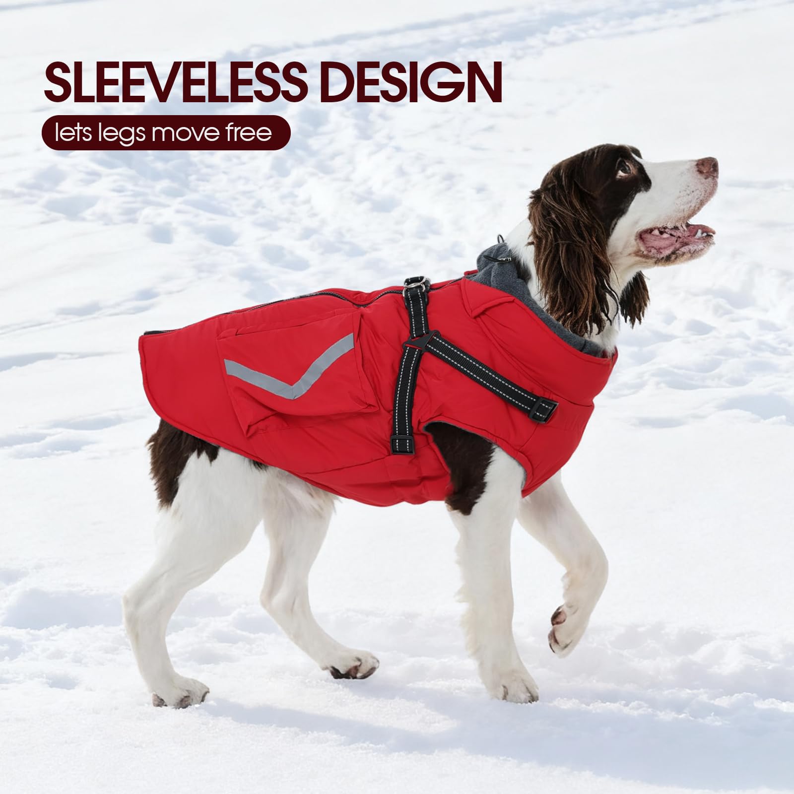 FUAMEY built-in harness D-rings for secure leash attachment