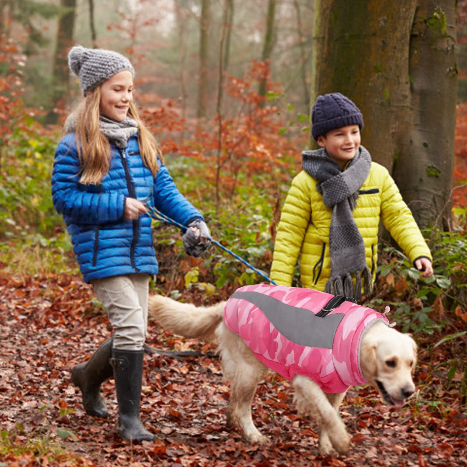 FUAMEY blue zip-up dog coat easy on-off for quick outdoor sessions