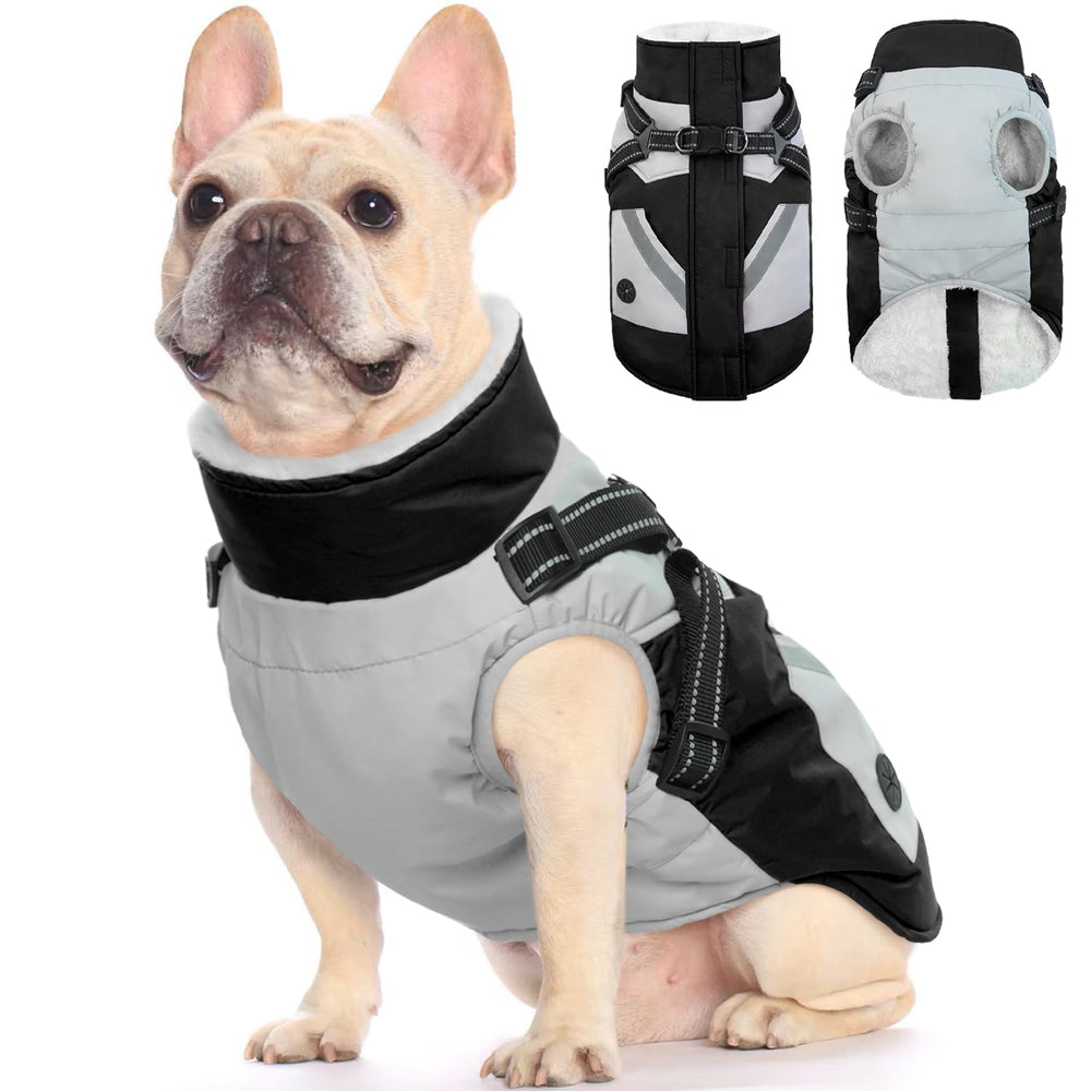 FUAMEY dog winter jacket waterproof exterior shields against rain for outdoor adventures.