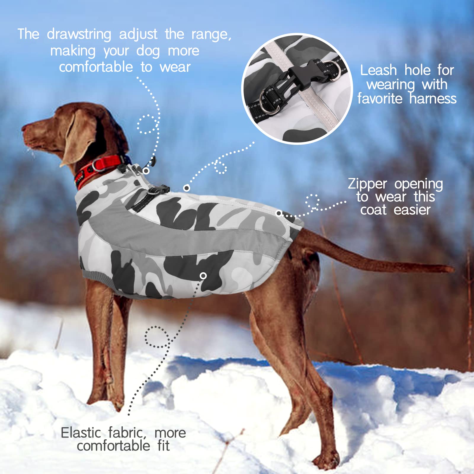 FUAMEY large dog winter jacket back view blue shows back zipper for easy on-off.