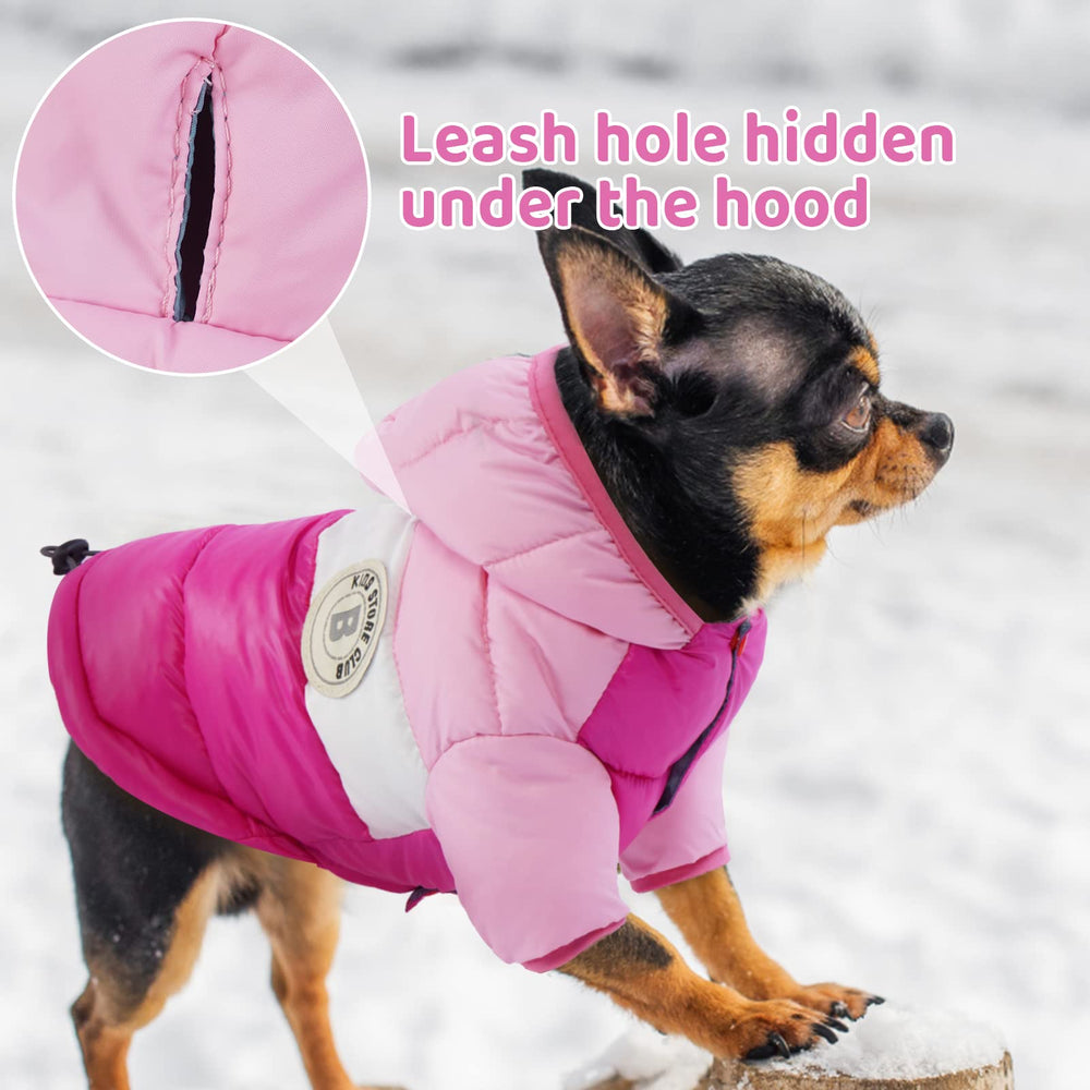 FUAMEY Puppy Puffer Jacket with snaps for easy on-and-off without snagging fur