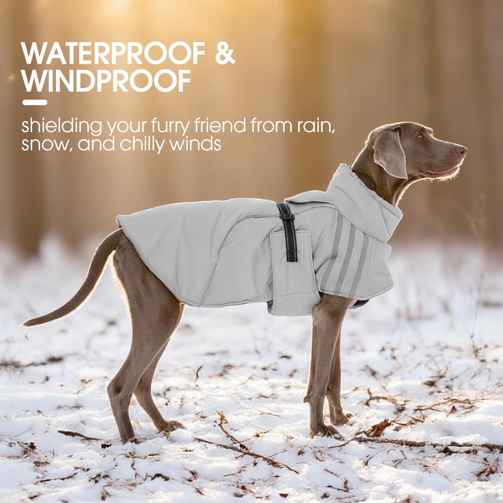 FUAMEY reflective strips on coat boost visibility during dusk walks.