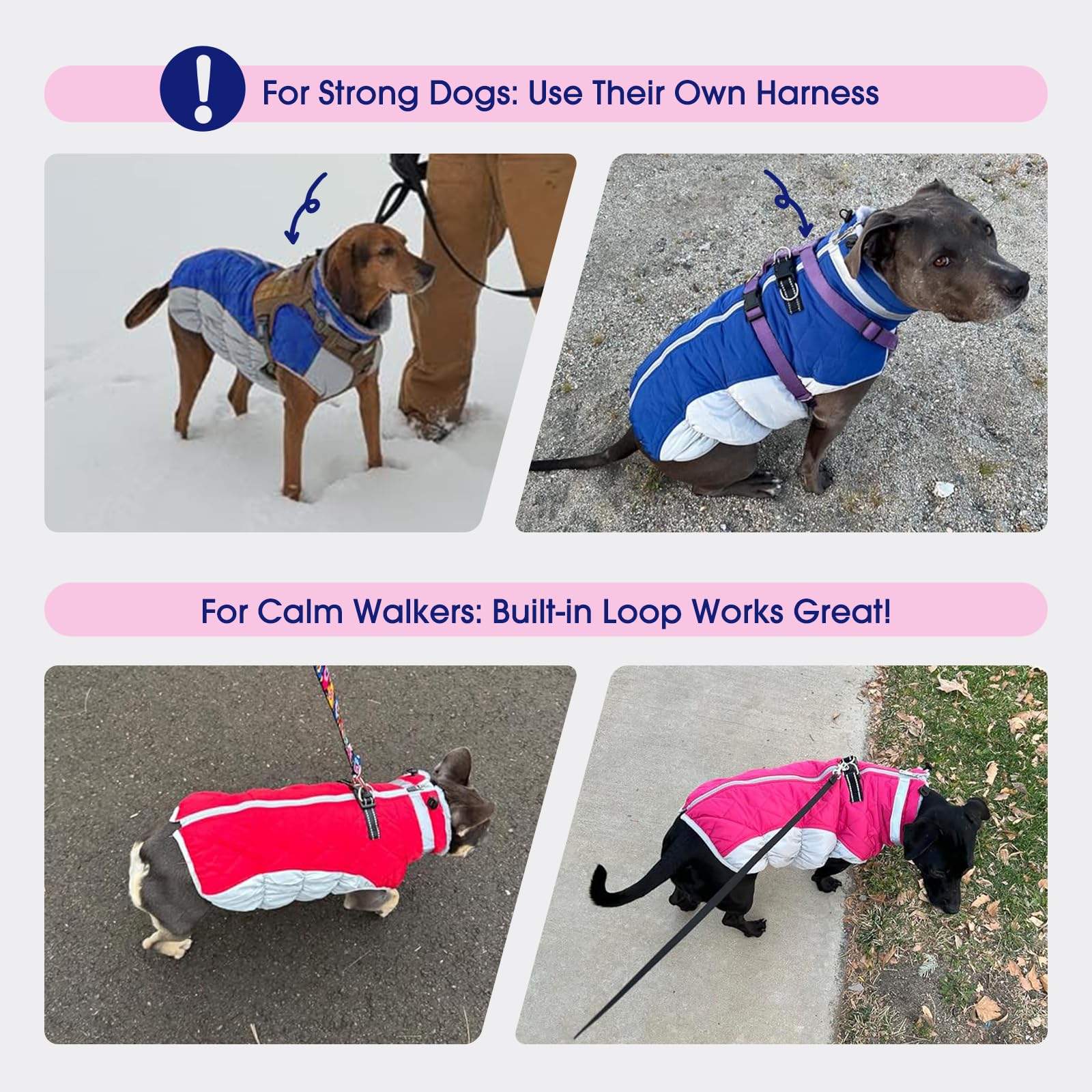 FUAMEY snow and water resistant coat keeps fur dry during precipitation