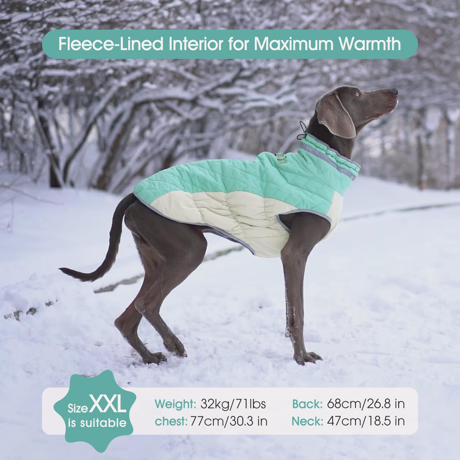 FUAMEY winter jacket thick fabric protects against cold and light rain