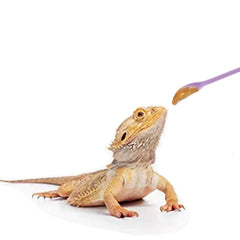 FUATY 2-piece reptile spoon set for efficient mealtime prep