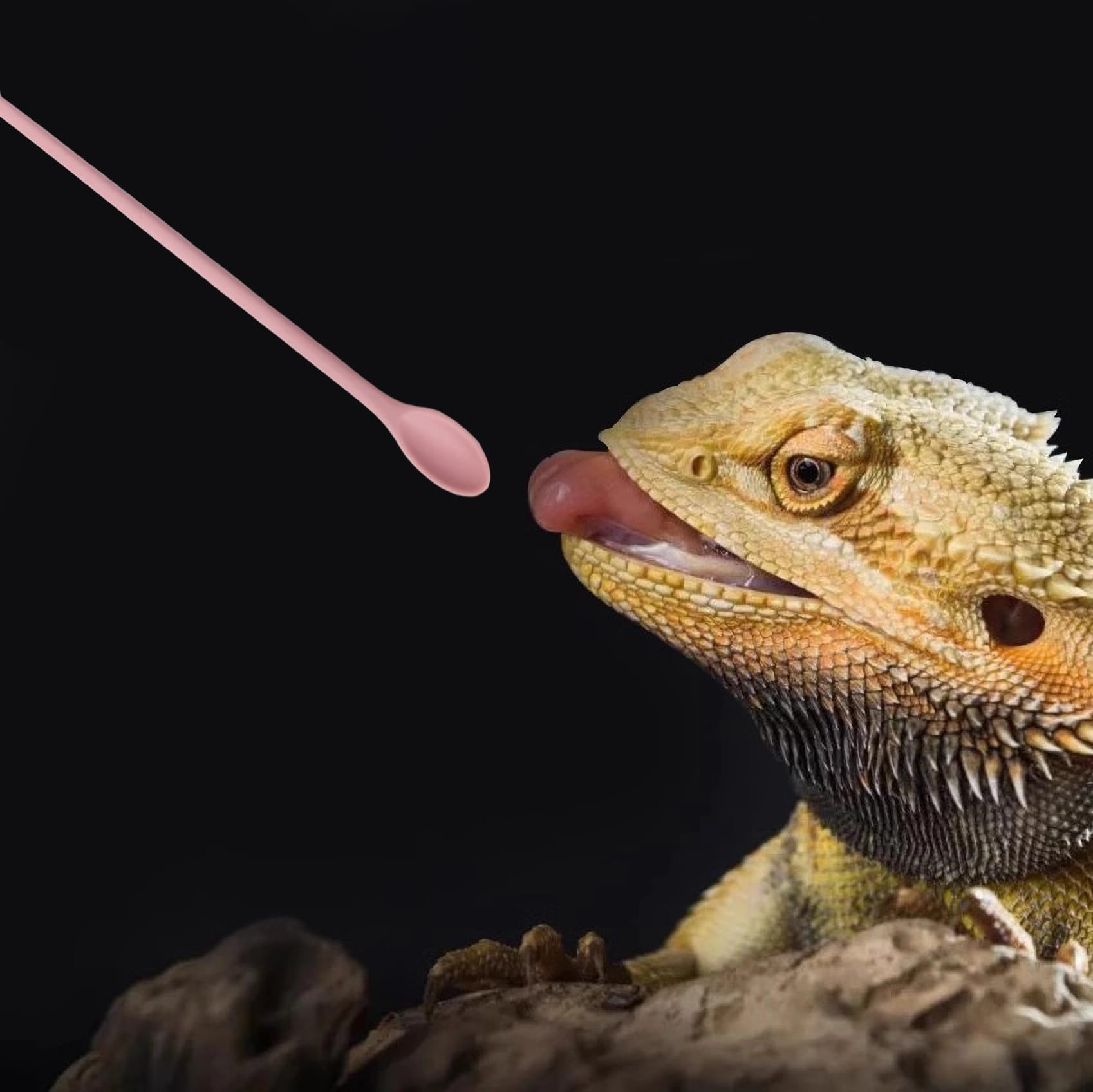 FUATY food-grade silicone spoon is soft on reptile mouths
