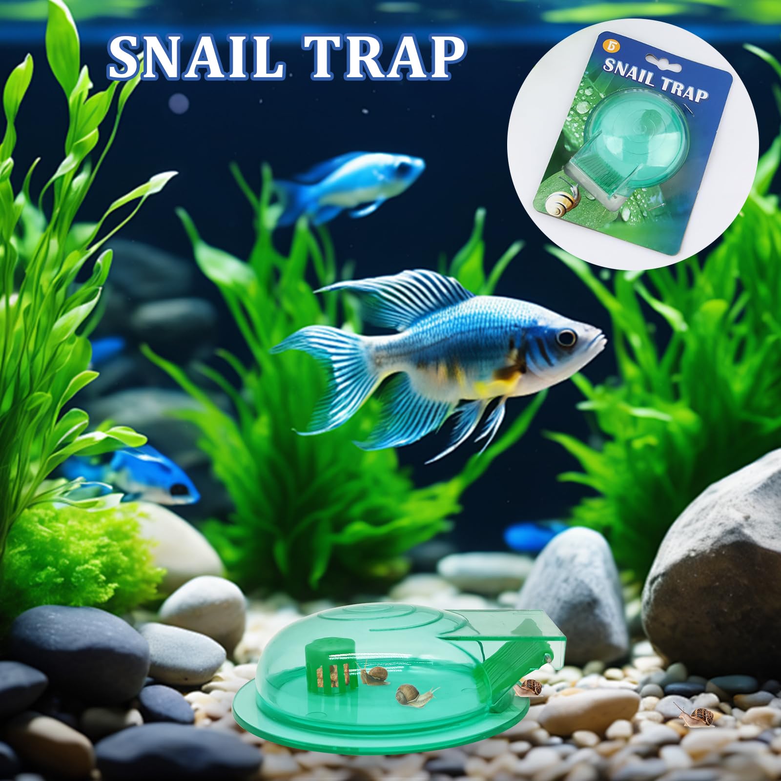 FUATY snail-trap bait chamber showing targeted snail attractant for efficient removal