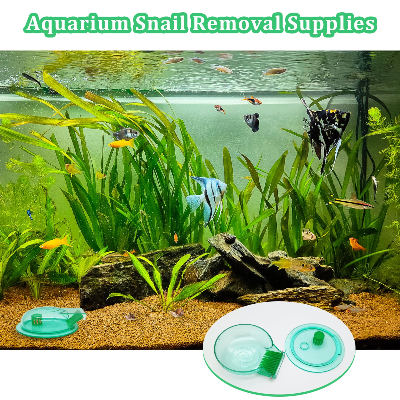 FUATY snail-trap easy-cleaning for quick reuse after trapping sessions