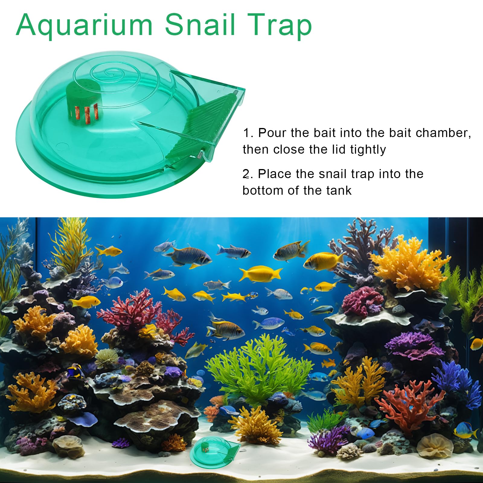 FUATY snail trap lid design enabling secure capture and easy release