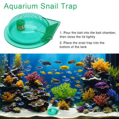 FUATY snail trap lid design enabling secure capture and easy release