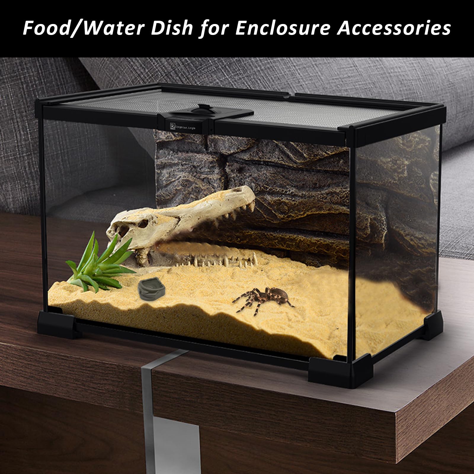 FUATY spider micro water bowls easy-clean feature for quick maintenance.