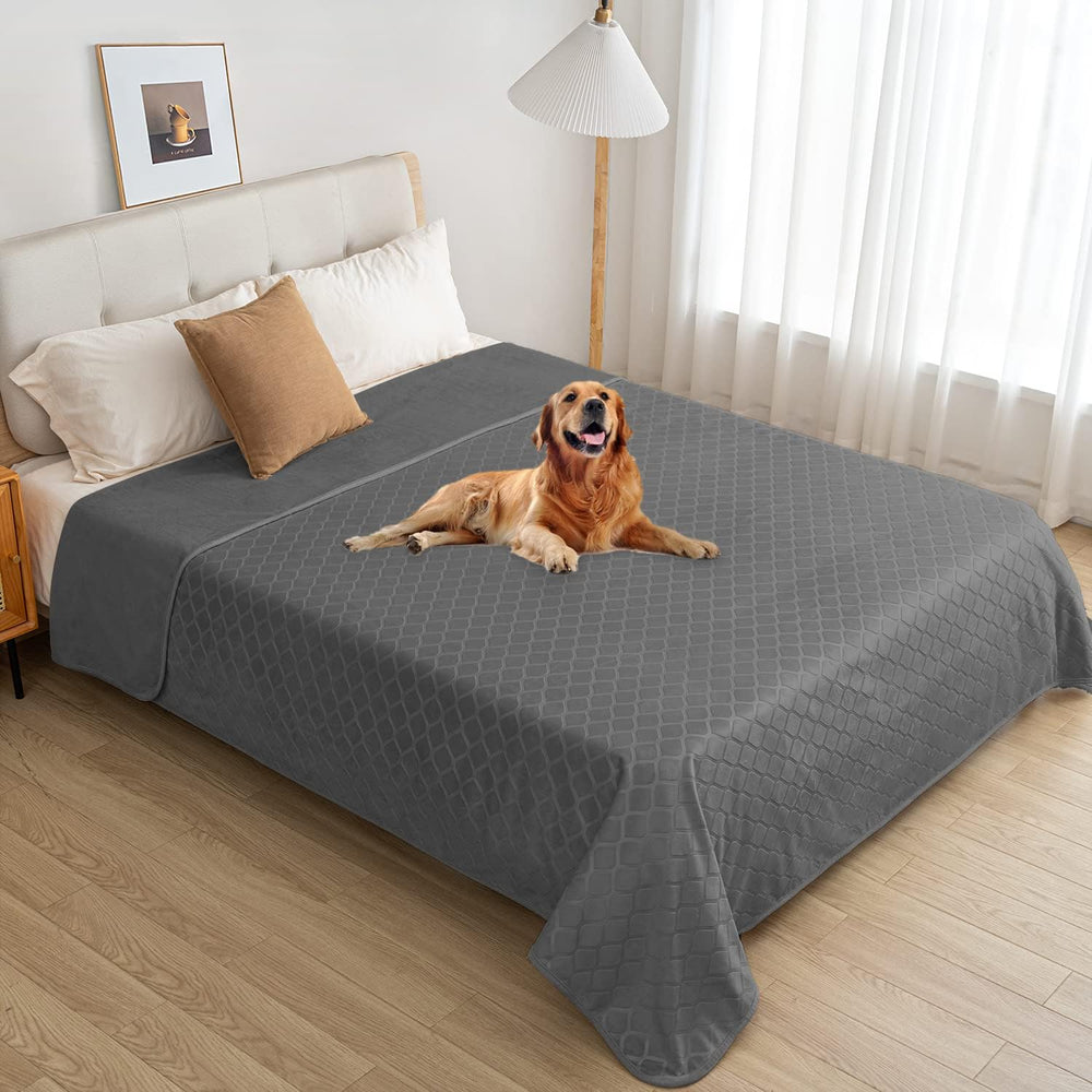 Fuguitex multi-function dog blanket serves as crate liner and travel mat.