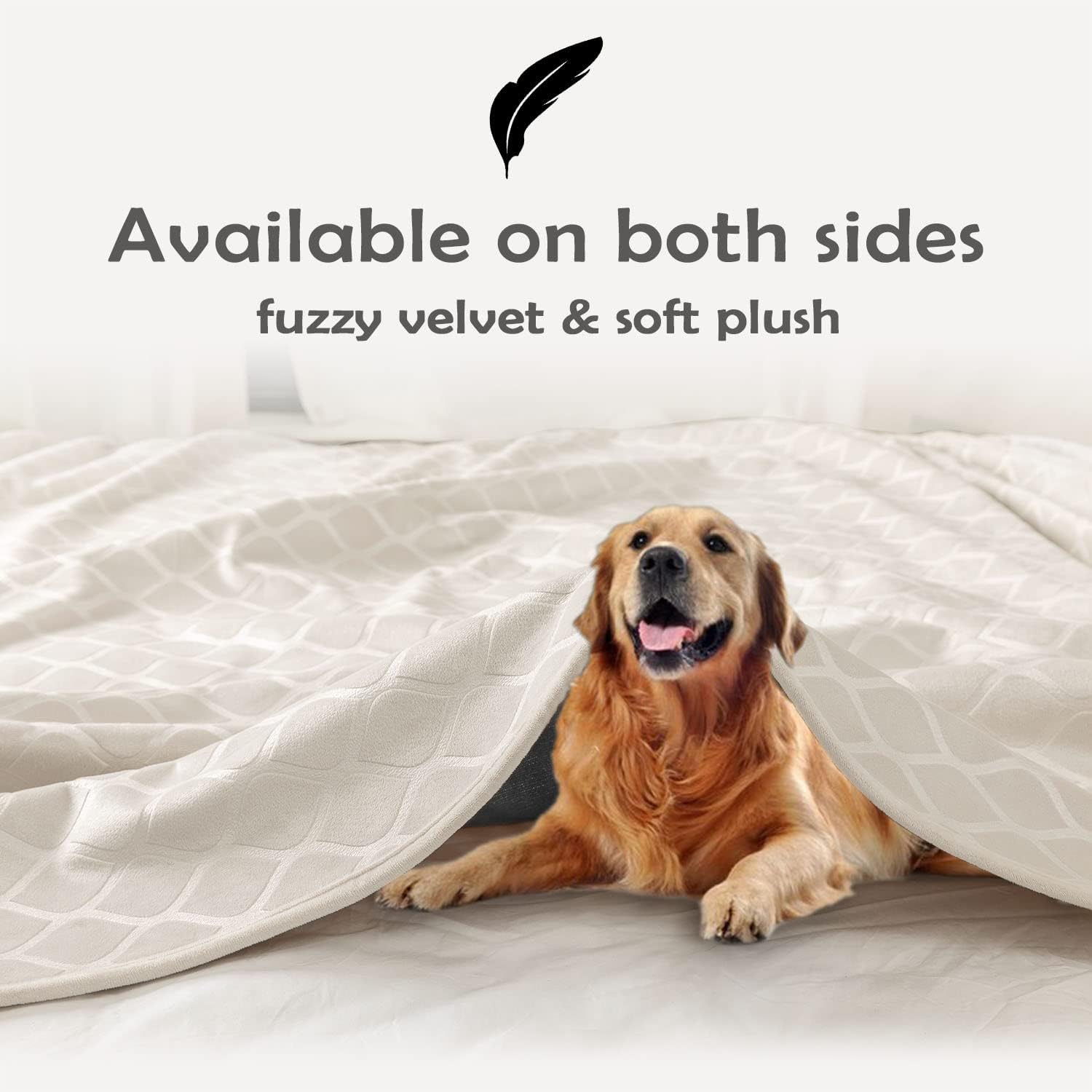 fuguitex dog blanket on couch demonstrates furniture protection during playtime