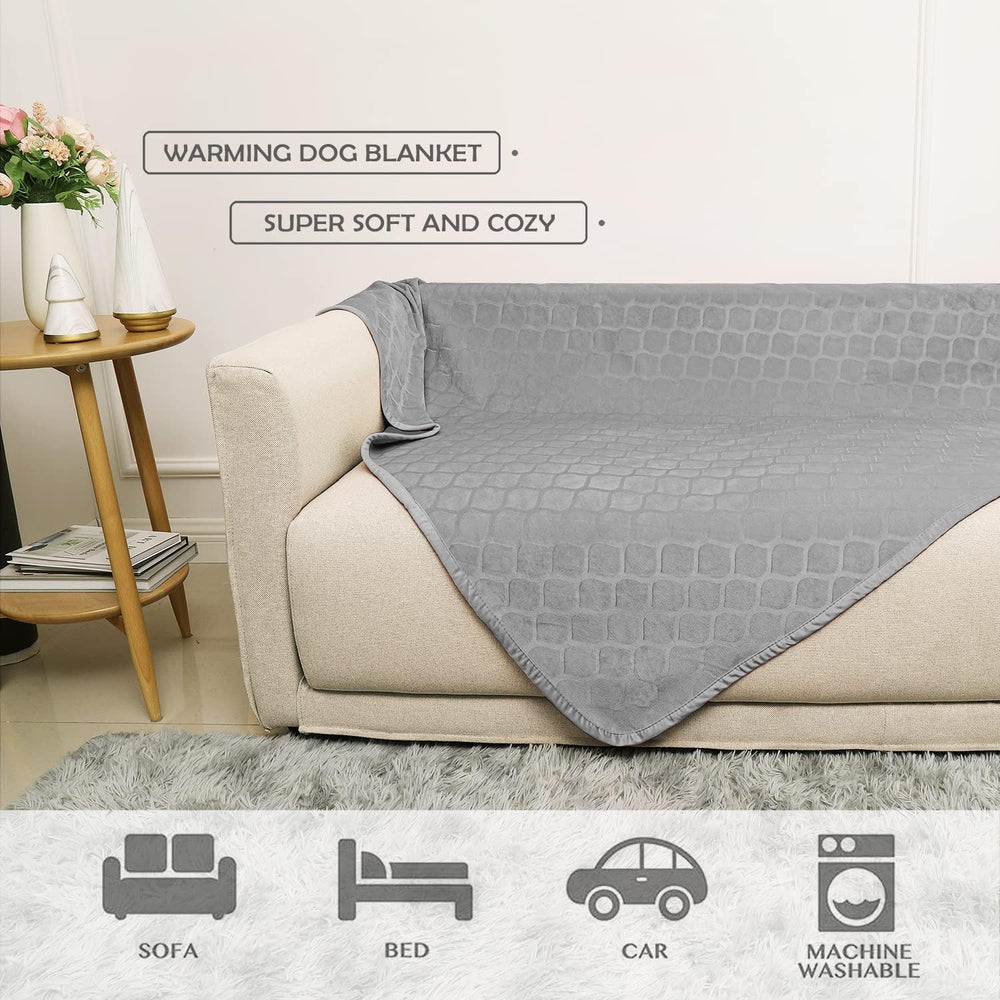 Fuguitex dog blanket on couch demonstrates everyday comfort and style