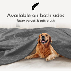Fuguitex Moroccan-pattern dog blanket adds style while guarding furniture.