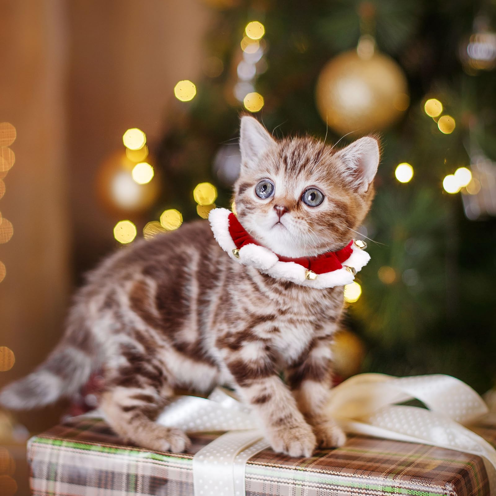 Fukaisu Christmas collar alloy bells close-up demonstrates durable hardware.