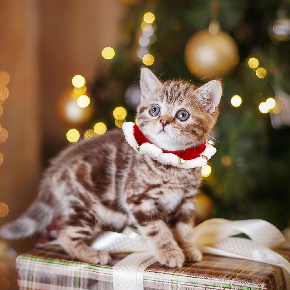 Fukaisu Christmas collar alloy bells close-up demonstrates durable hardware.
