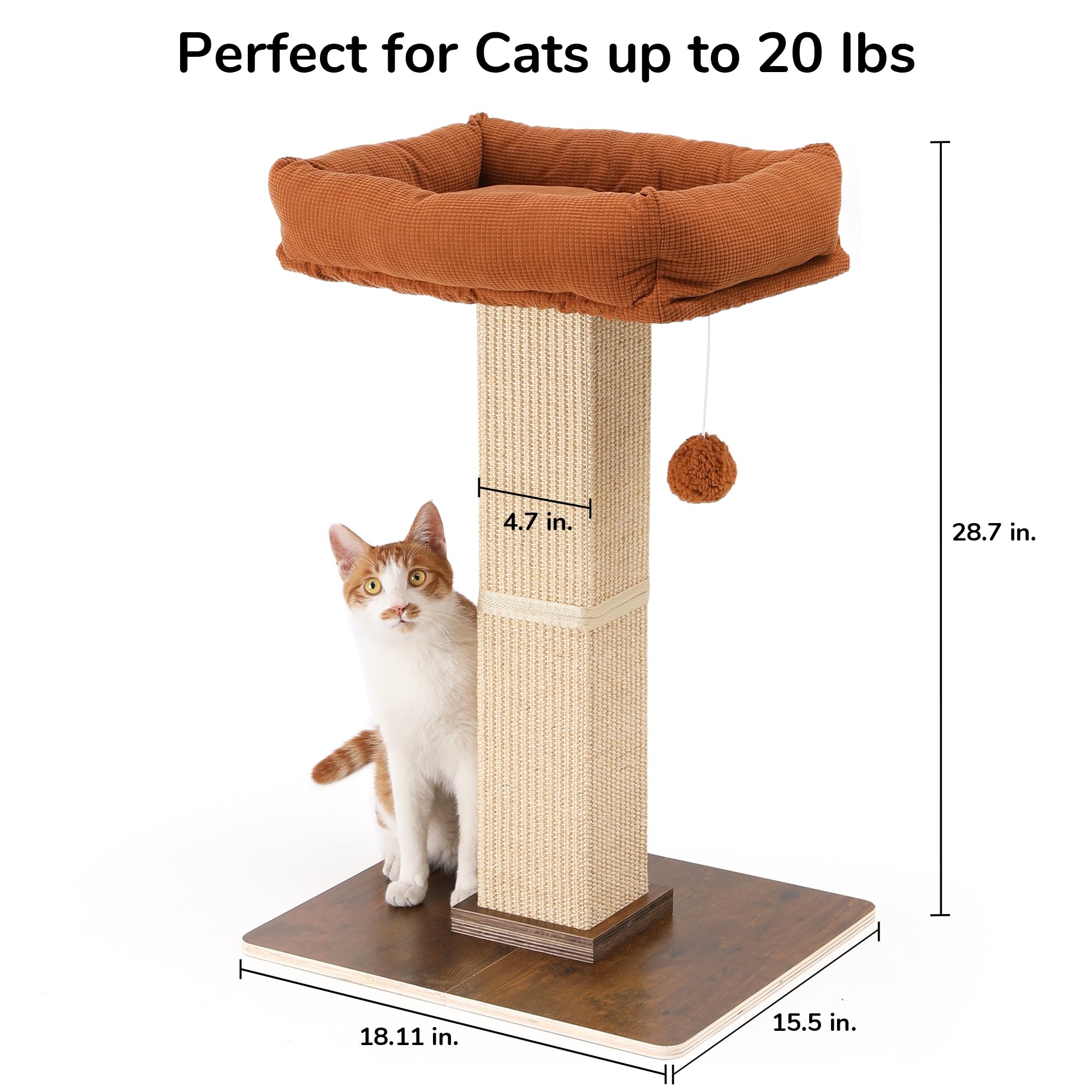 FUKUMARU thick solid-wood base ensures stability during active scratching sessions