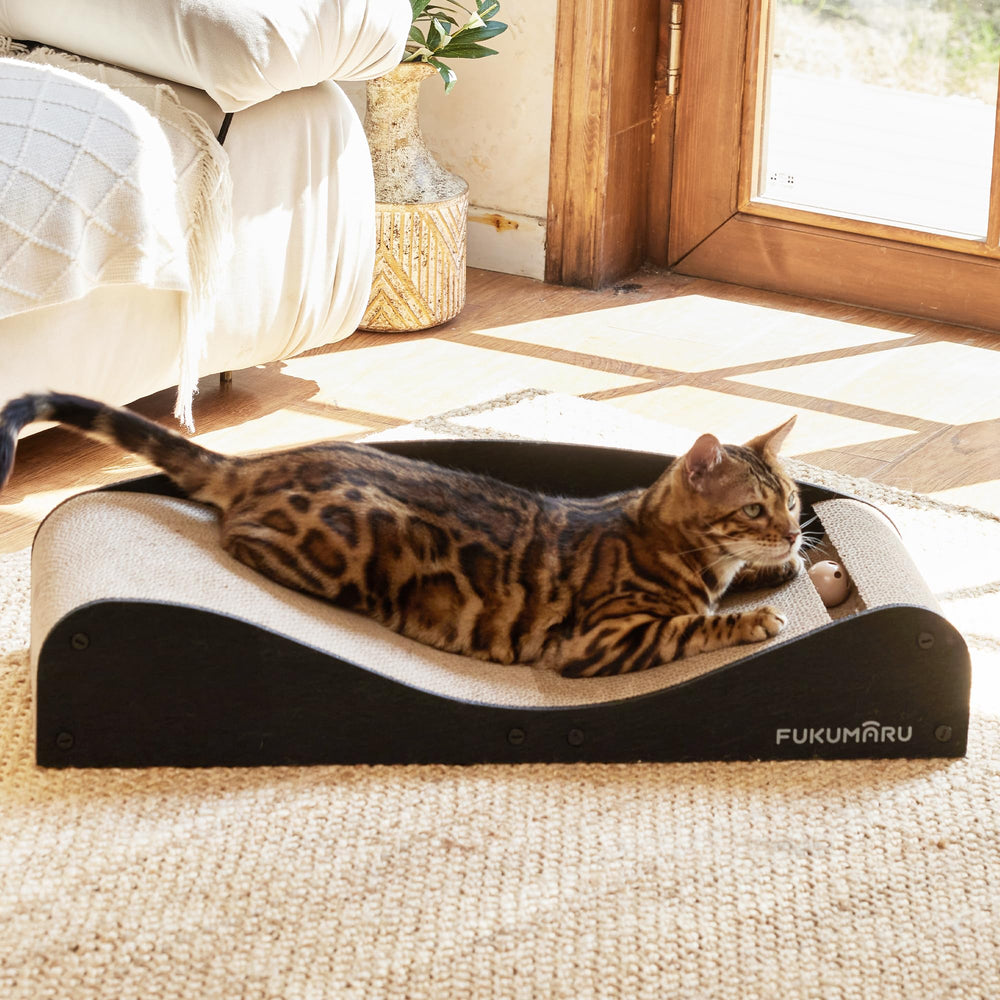 FUKUMARU Cat-nap space supports quiet resting moments.