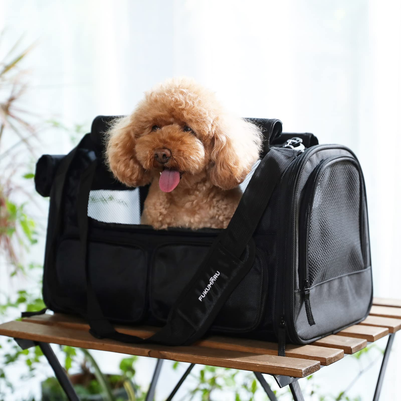FUKUMARU cat carrier four-entry doors enable easy loading.