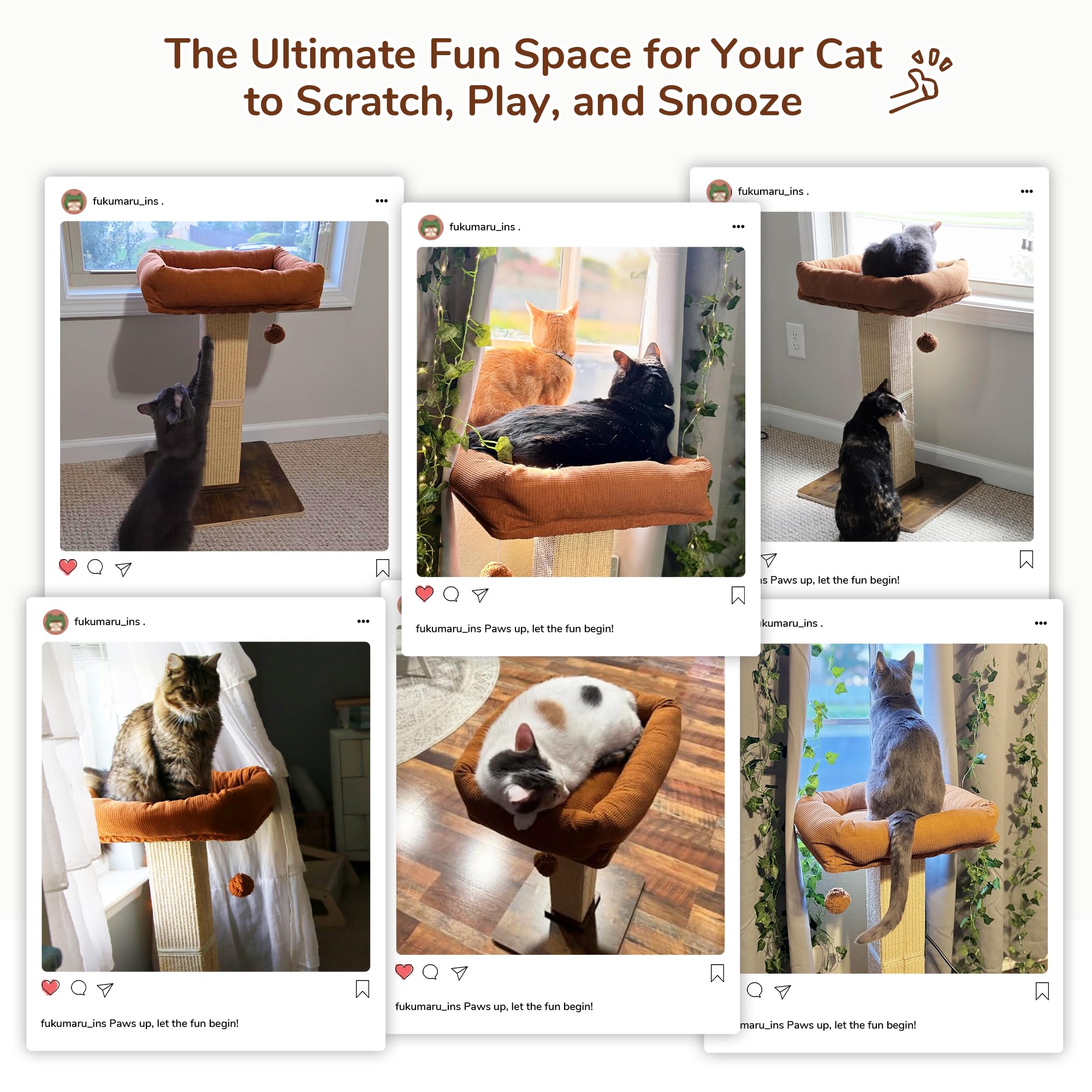 FUKUMARU cat enjoying the perch for a relaxing view