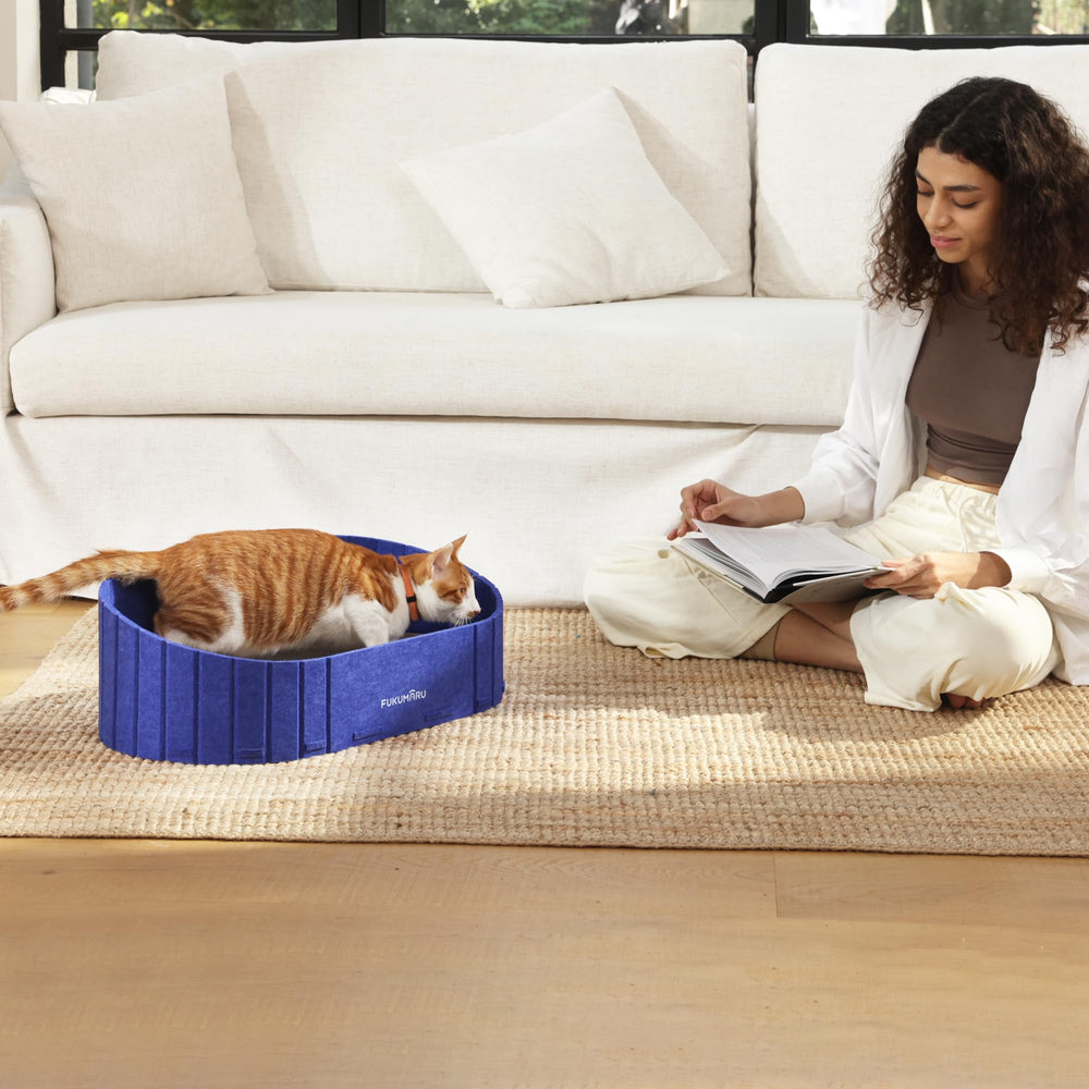 FUKUMARU blue sofa scratcher complements living rooms and quiet evenings.