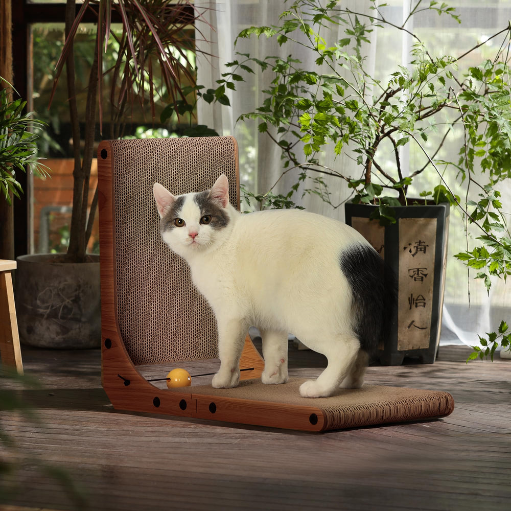 FUKUMARU eco-friendly recyclable cardboard highlights sustainability.
