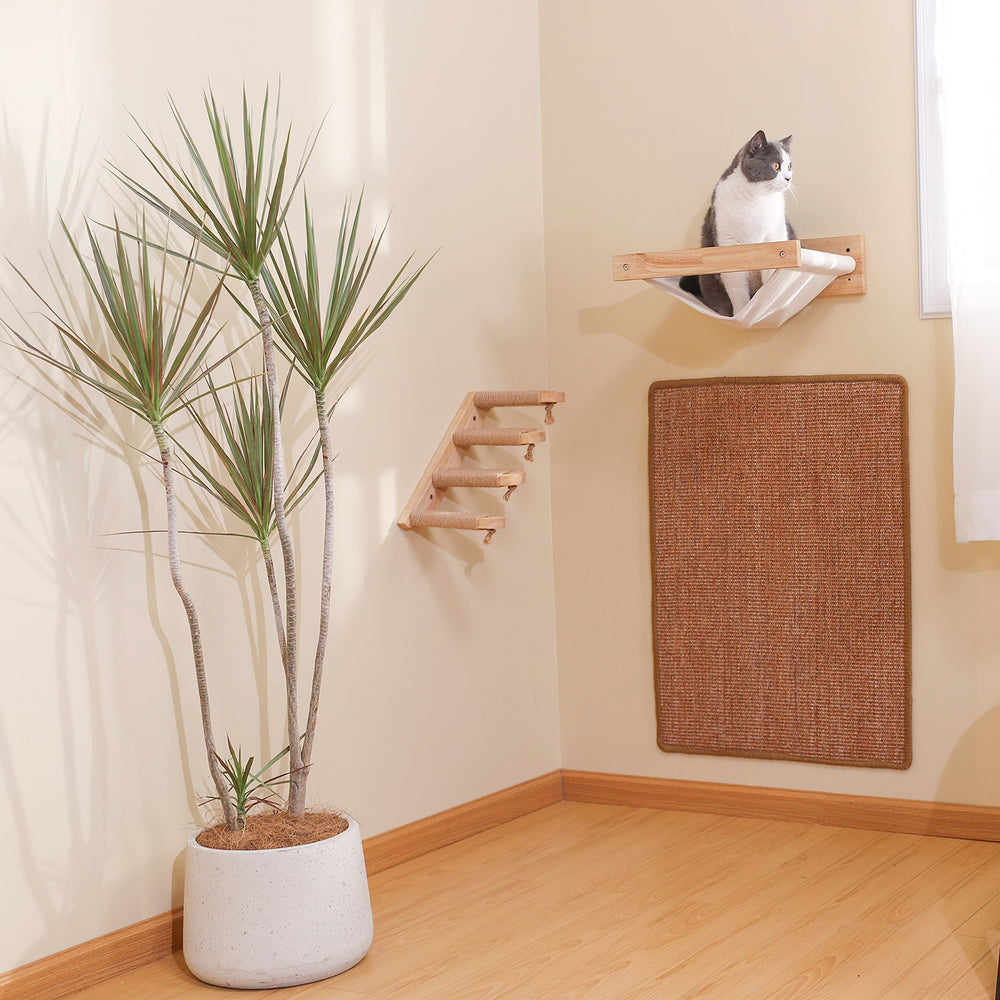Cat using the mat in a cozy living room setting.