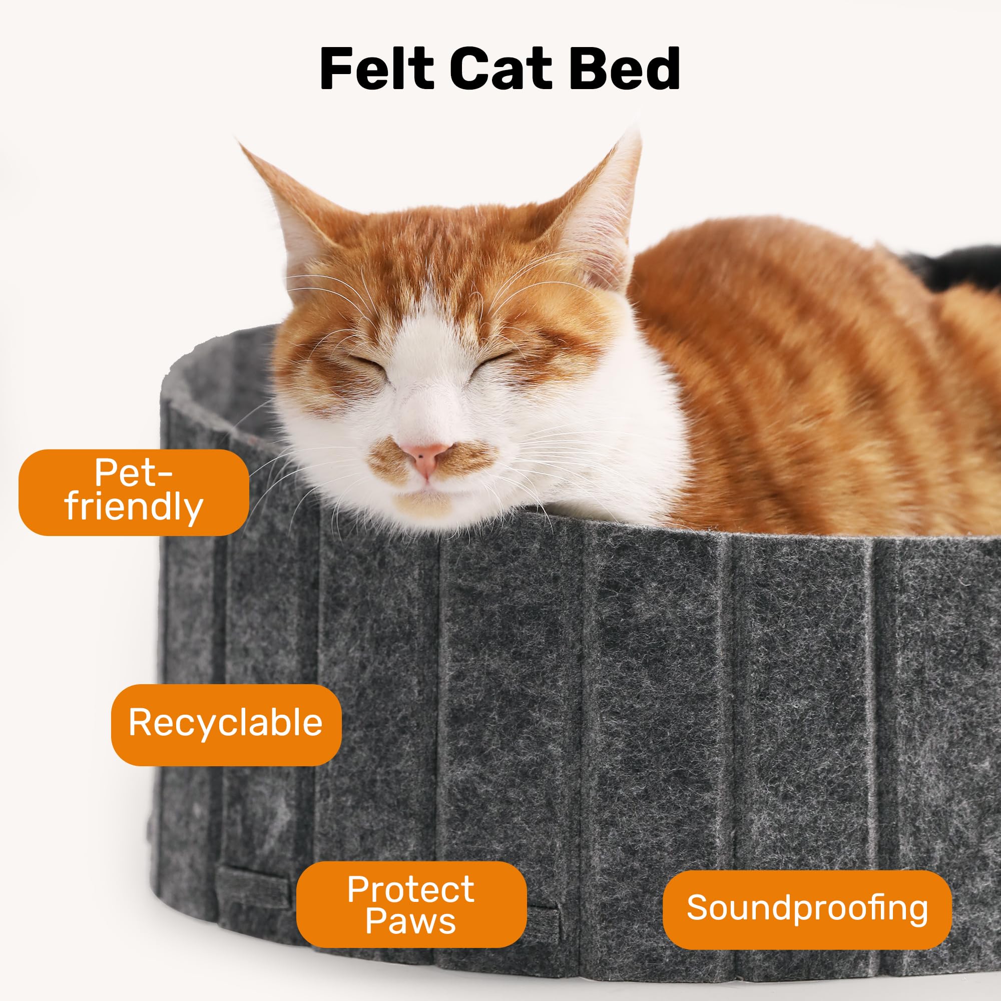 FUKUMARU-non-toxic-cardboard keeps indoor cats safe during play and scratches.