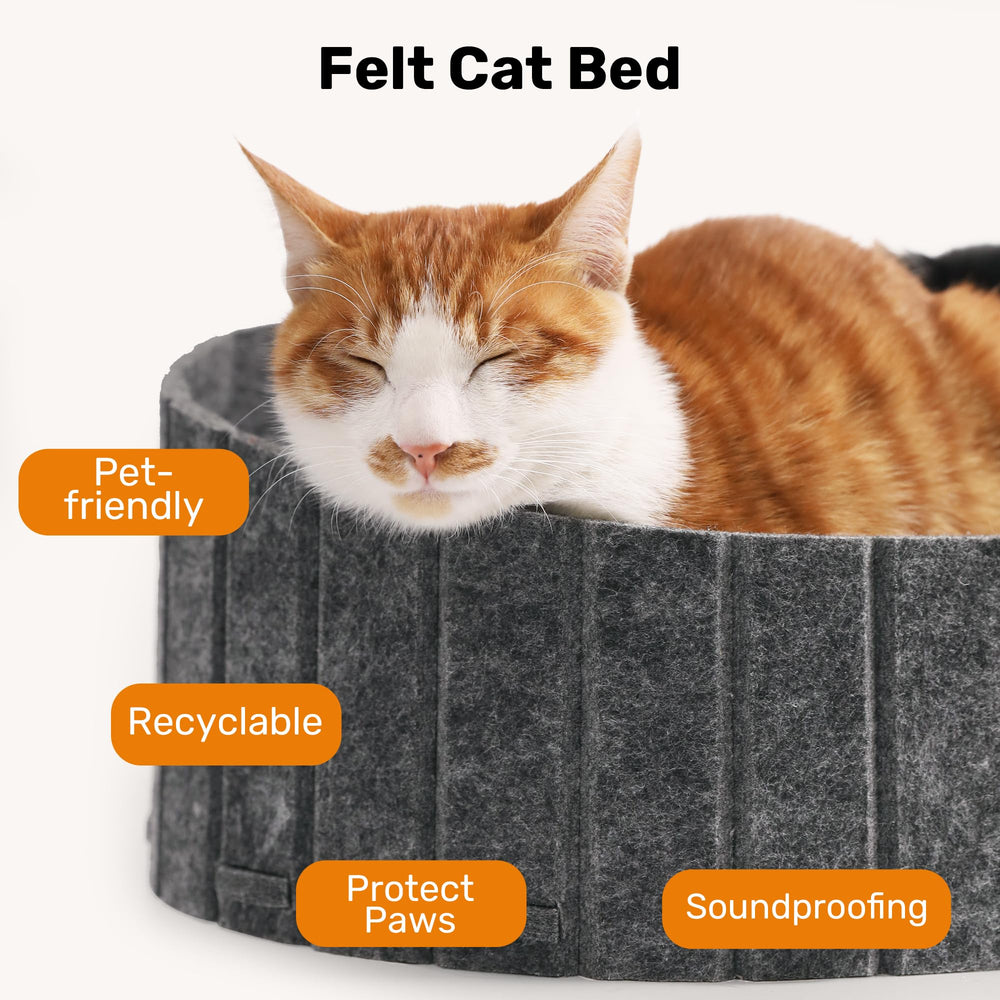 FUKUMARU-non-toxic-cardboard keeps indoor cats safe during play and scratches.