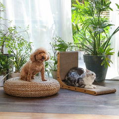 FUKUMARU cat scratcher vertical-use demonstrates space-saving design.