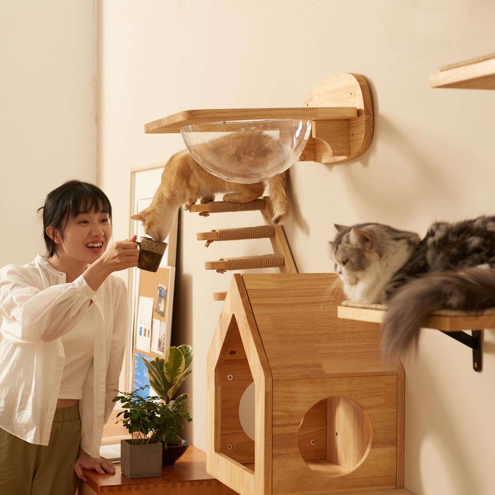 FUKUMARU cat shelf neutral-tone decor blends elegantly.