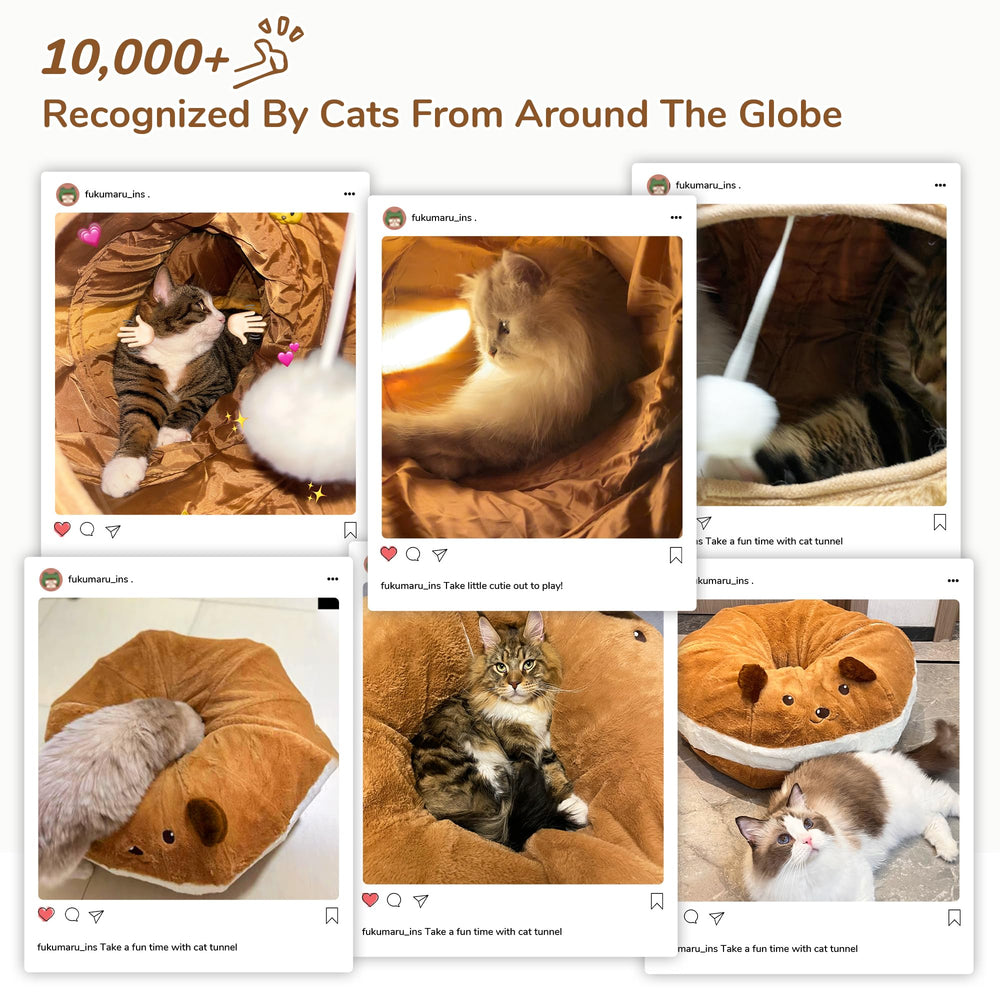 FUKUMARU cat tunnel bed suited for kittens and small pets