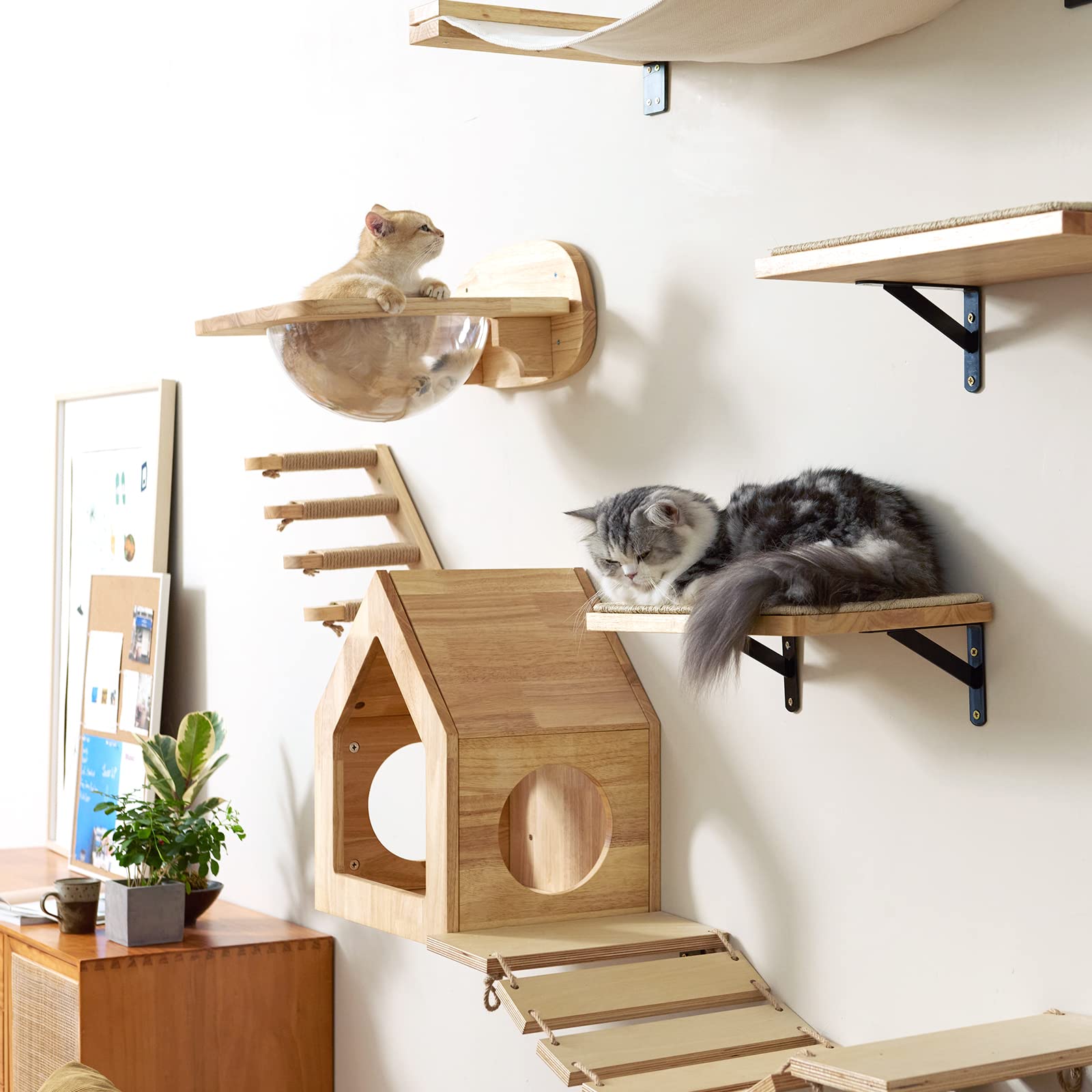 FUKUMARU decor-friendly silhouette blends with modern interiors while keeping cats comfortable.