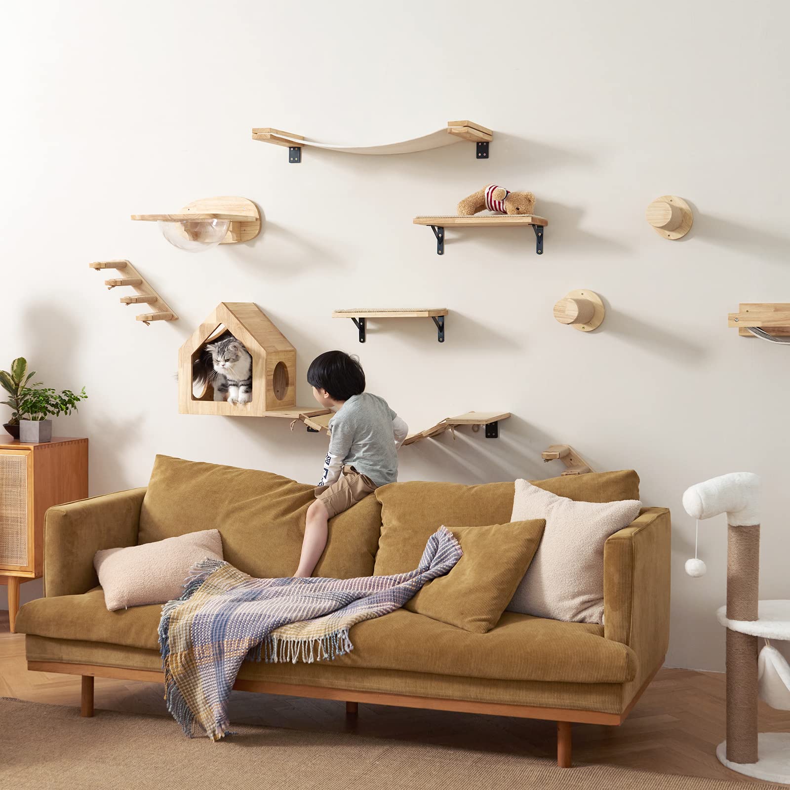 FUKUMARU capsule bed offers a secure lounging spot with wide sightlines for curious cats.