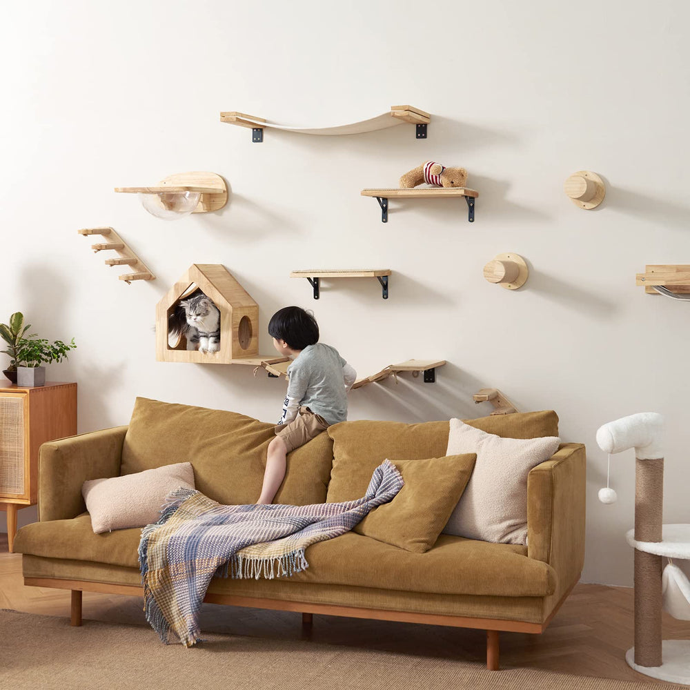 FUKUMARU capsule bed offers a secure lounging spot with wide sightlines for curious cats.