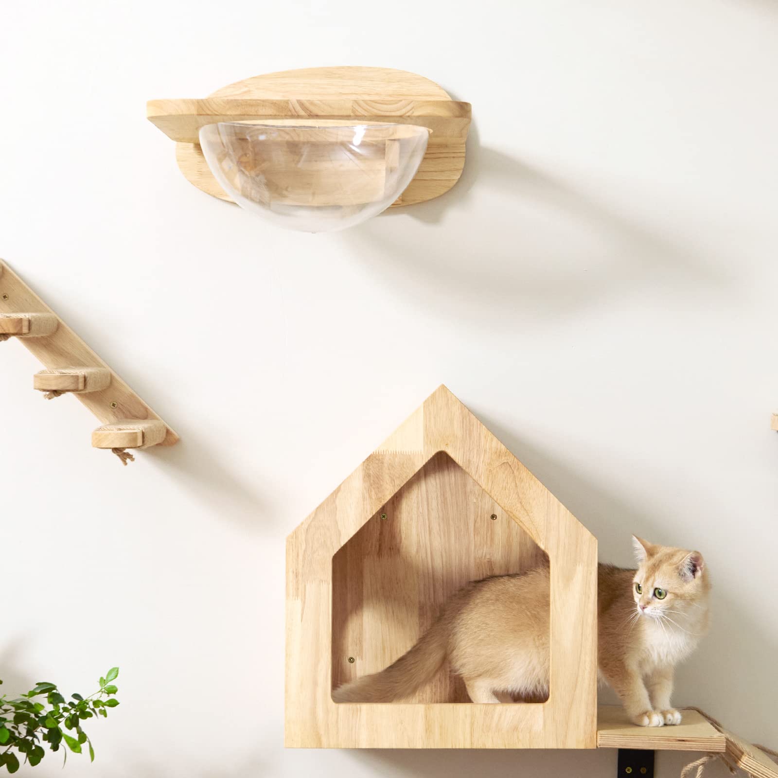 FUKUMARU 35-lb capacity ensures sturdy support for active cats during daily routines.