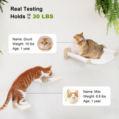 FUKUMARU Cat Wall Hammock hardware included ensures easy secure installation.