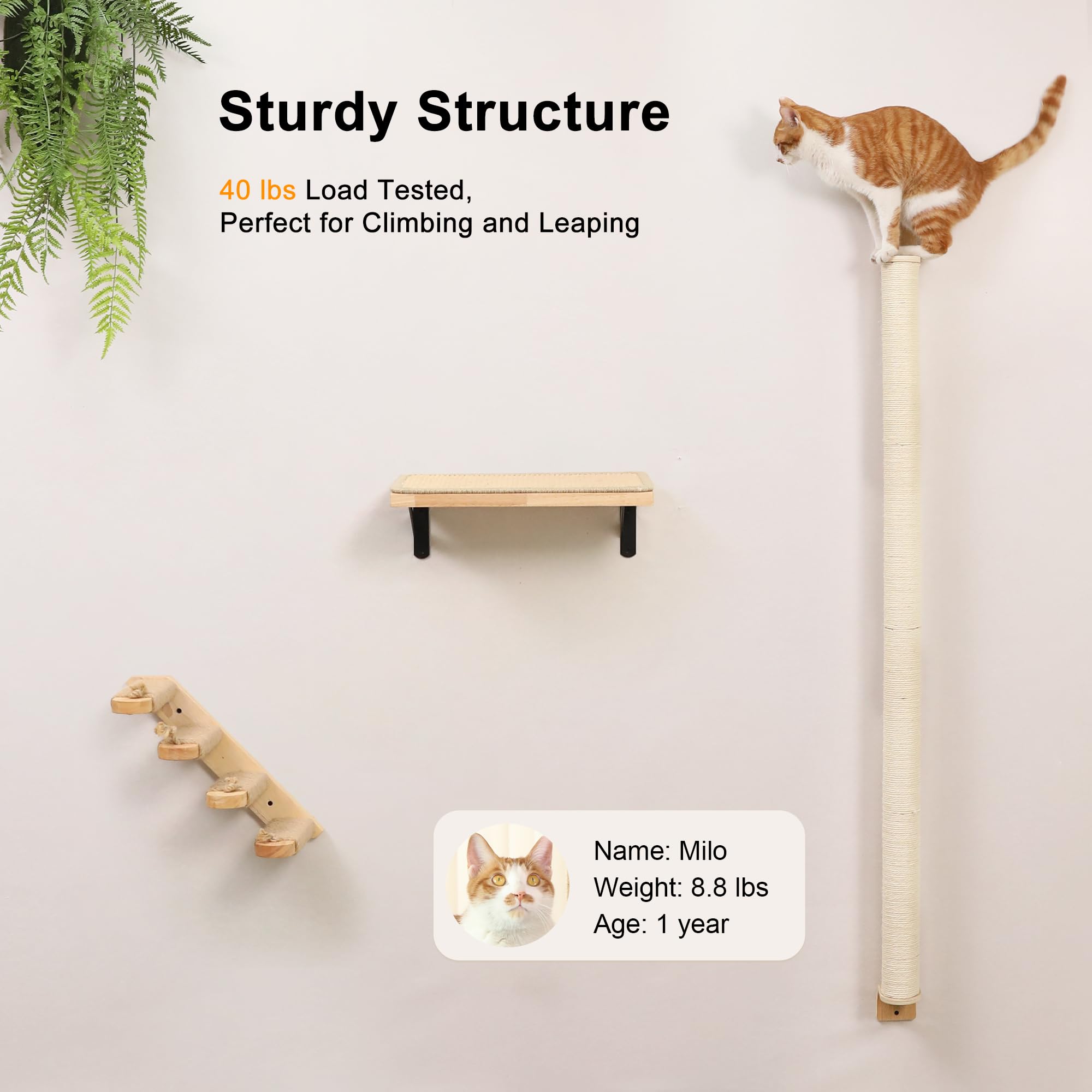 FUKUMARU Cat Wall Scratcher shown passing a 20kg static load stability test.