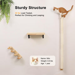 FUKUMARU Cat Wall Scratcher shown passing a 20kg static load stability test.