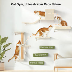 FUKUMARU Cat Wall Shelves all-in-one design saves space and adds play zones